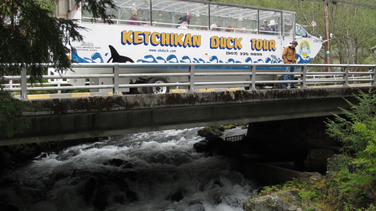 IMG_4713 tour on bridge